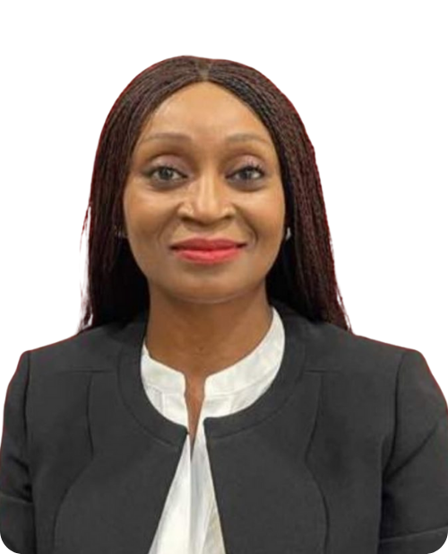 S.E. M. João Manuel Gonçalves Lourenço