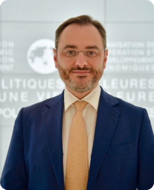 Mr Federico Bonaglia