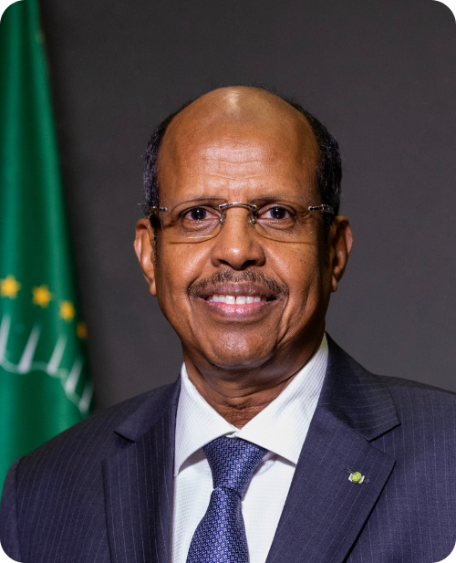 S.E. M. Mahmoud Ali Youssouf