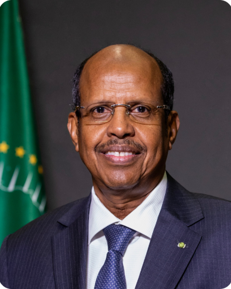 H.E. Mahmoud Ali Youssouf