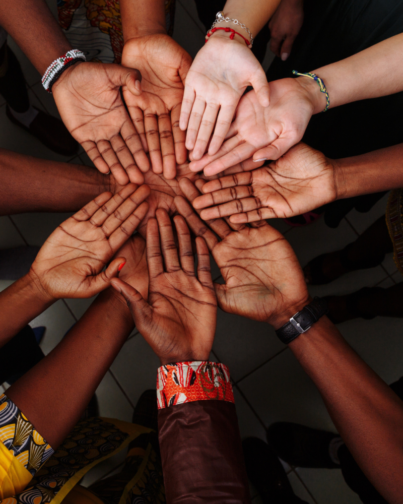 Domestic Financing Mechanisms